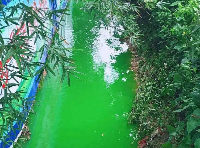 觸目驚心！水全都“染綠”了！多家企業被查處！