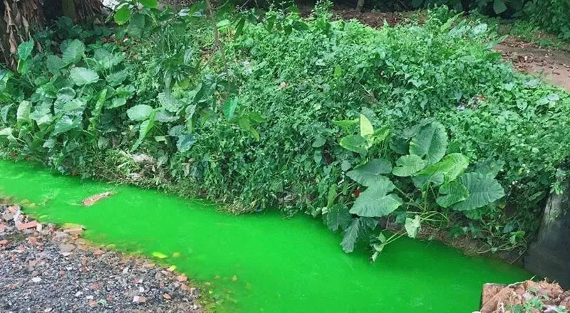 觸目驚心！水全都“染綠”了！多家企業被查處！