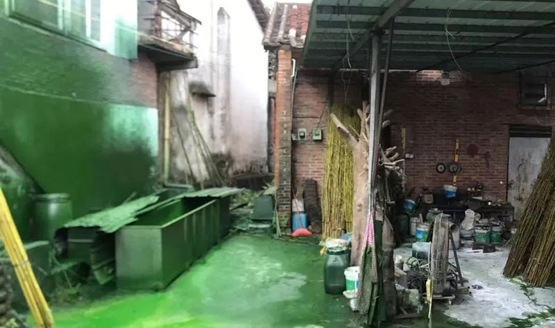觸目驚心！水全都“染綠”了！多家企業被查處！
