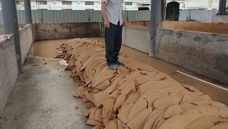 泥漿脫水丝瓜视频在线看黄片